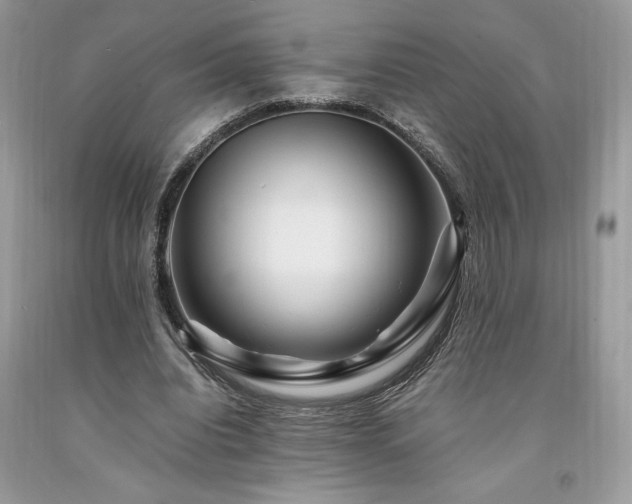 X0000094180440200710261135