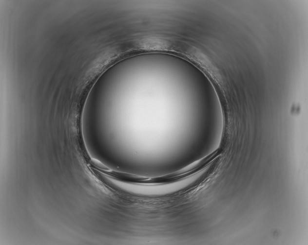 X0000094180441200710261135