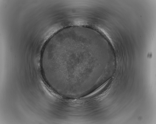 X0000094180443200710261135