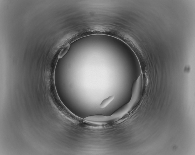 X0000094180444200710261135