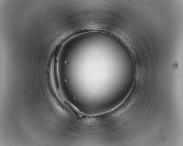 X0000094180445200710261135