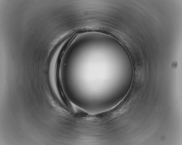 X0000094180446200710261135