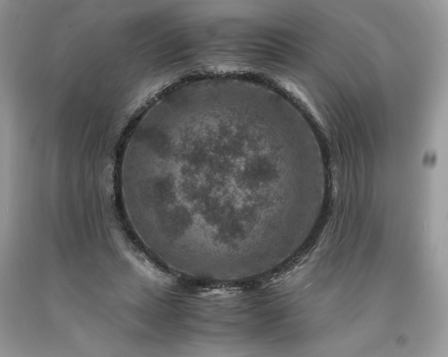 X0000094180447200710261135