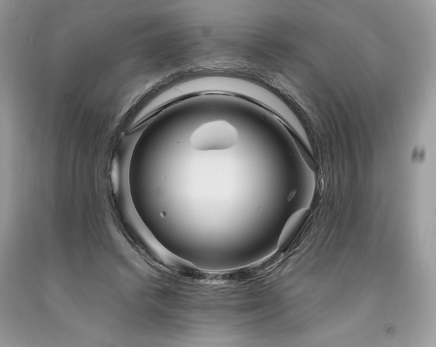 X0000094180448200710261135