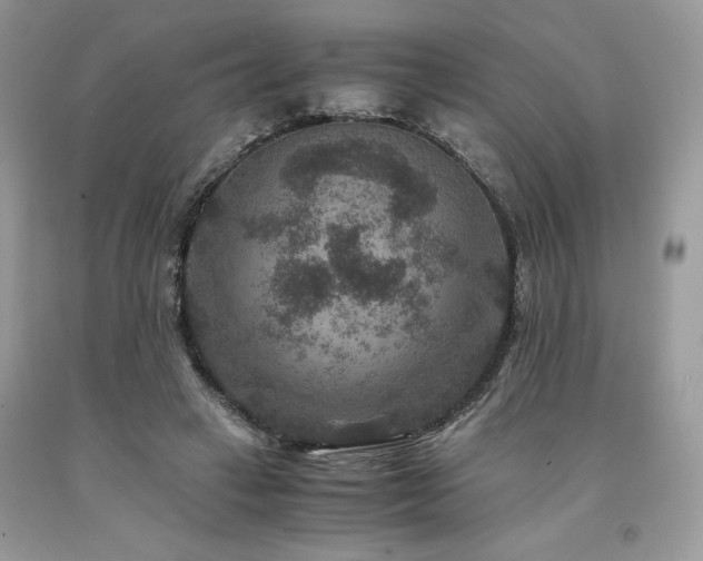 X0000094180449200710261135