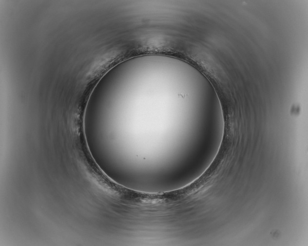 X0000094180450200710261135