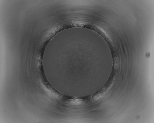 X0000094180451200710261135
