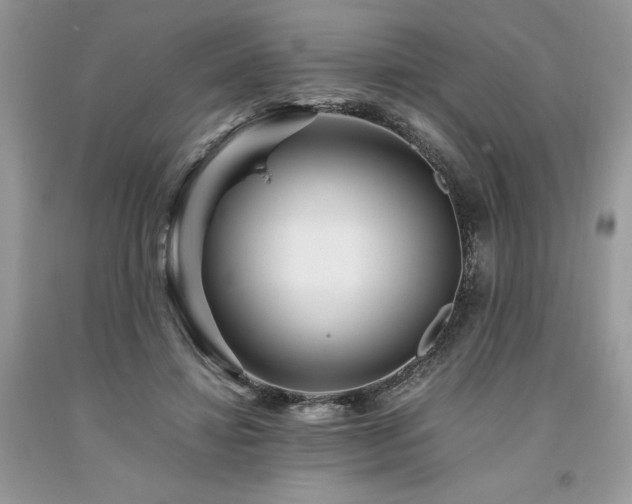 X0000094180452200710261135