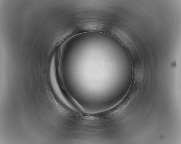 X0000094180453200710261135