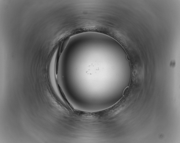 X0000094180454200710261135