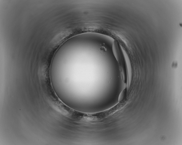 X0000094180455200710261135