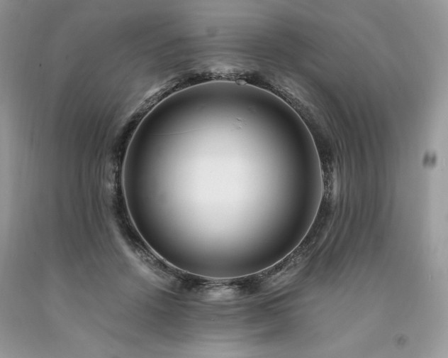 X0000094180456200710261135
