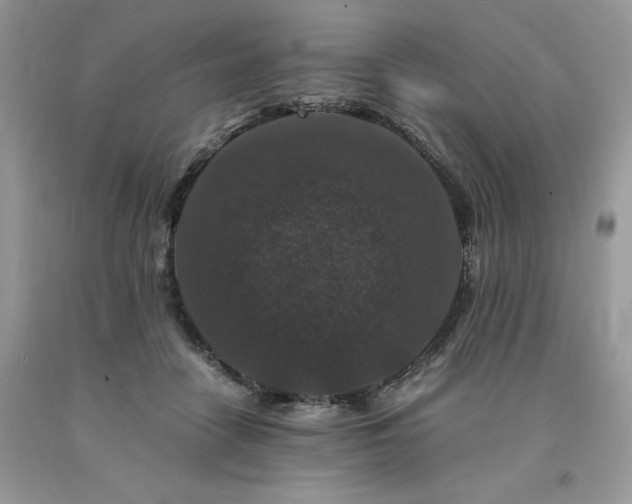 X0000094180458200710261135