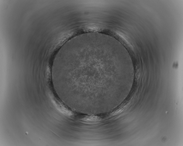 X0000094180459200710261135