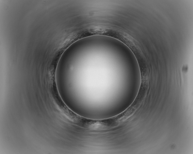 X0000094180460200710261135