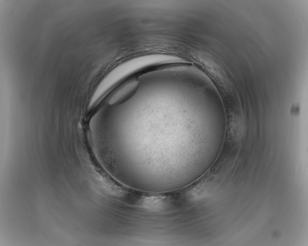 X0000094180461200710261135