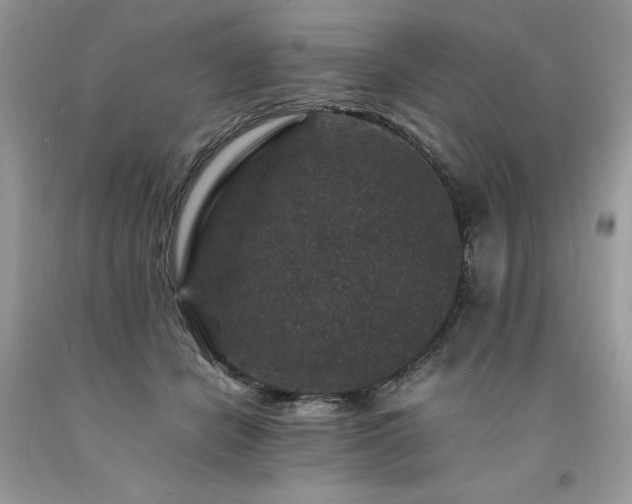 X0000094180462200710261135