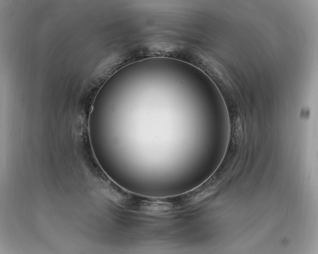 X0000094180463200710261135