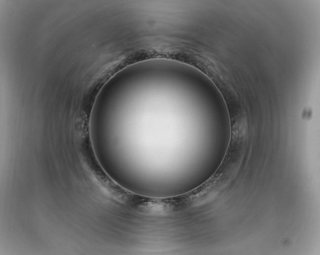X0000094180464200710261135