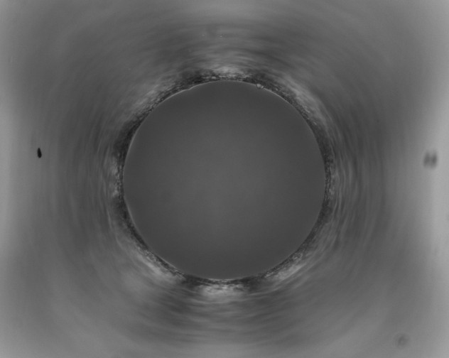 X0000094180465200710261135