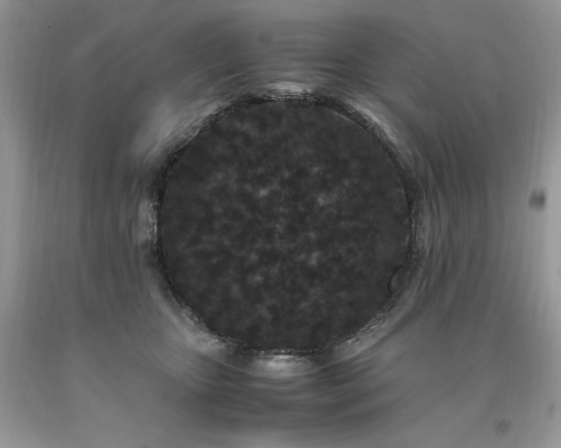 X0000094180467200710261135