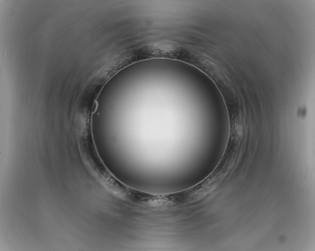 X0000094180468200710261135