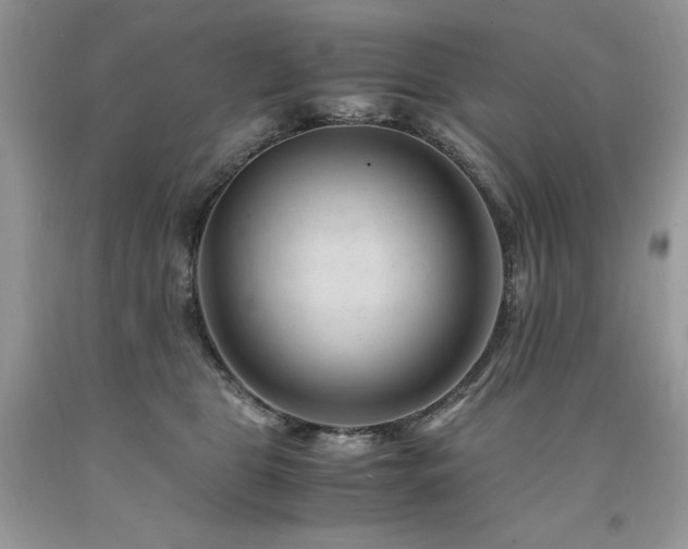 X0000094180469200710261135
