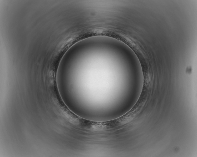 X0000094180470200710261135