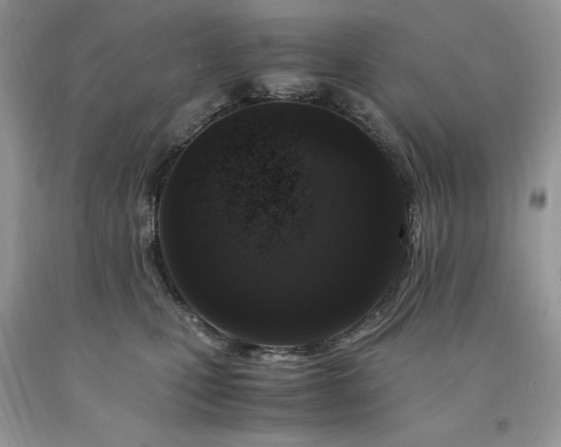 X0000094180471200710261135