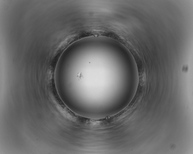 X0000094180472200710261135