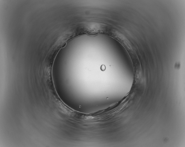 X0000094180473200710261135