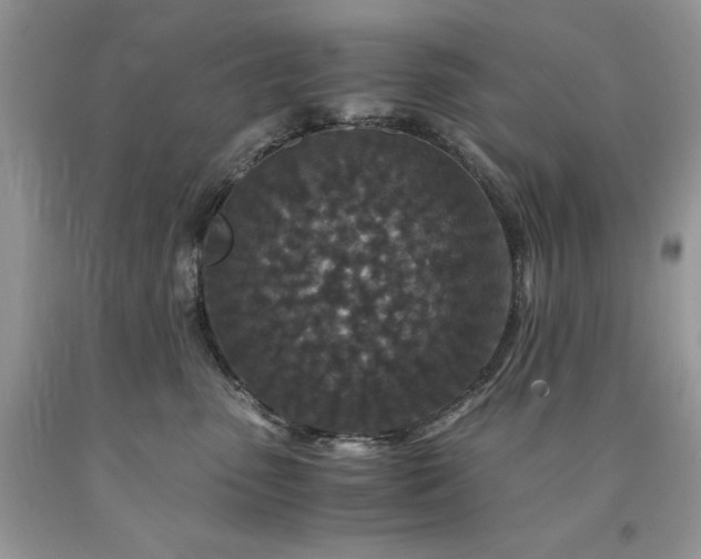 X0000094180475200710261135