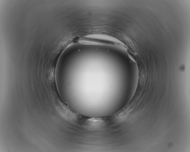 X0000094180477200710261135
