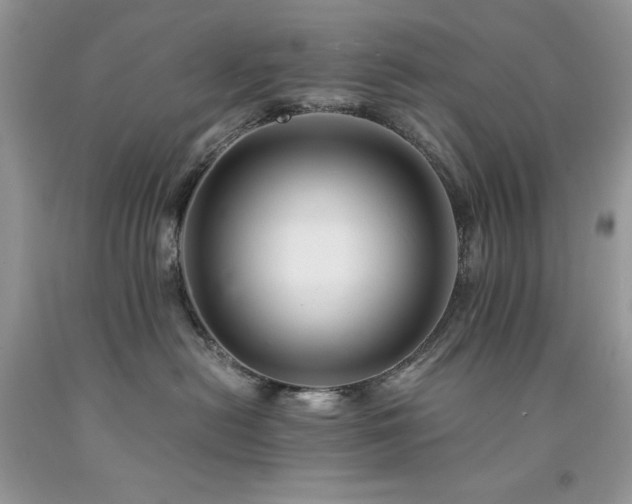 X0000094180478200710261135