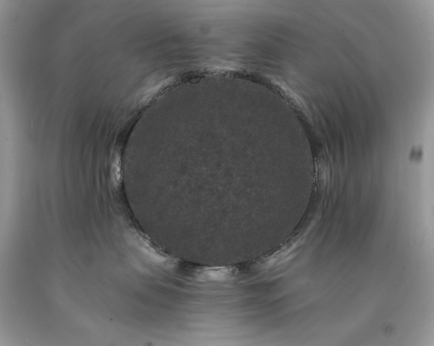 X0000094180479200710261135