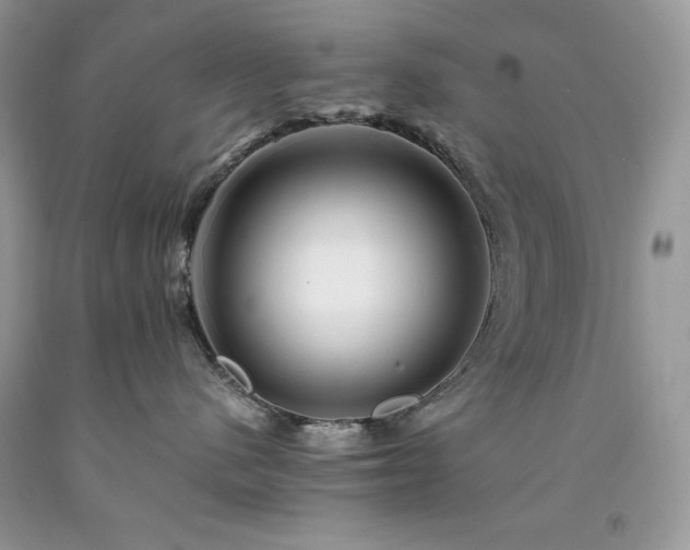 X0000094180480200710261135