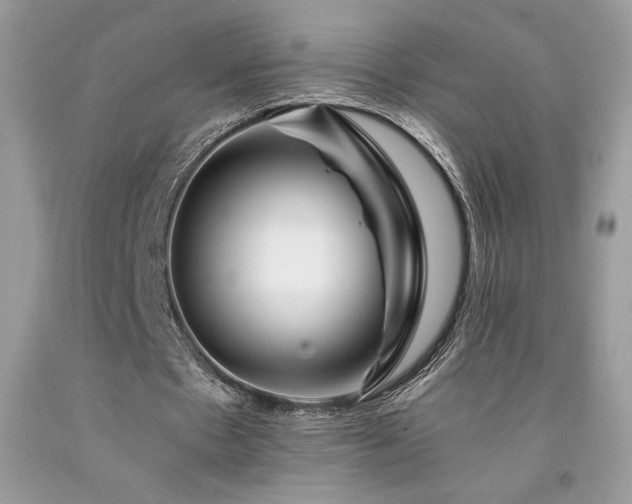 X0000094180481200710261135