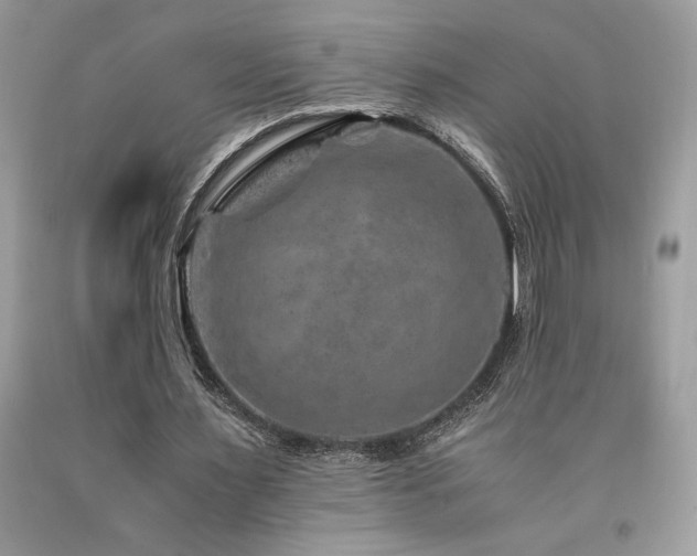 X0000094180483200710261135