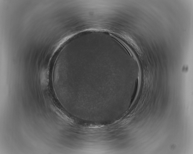 X0000094180484200710261135