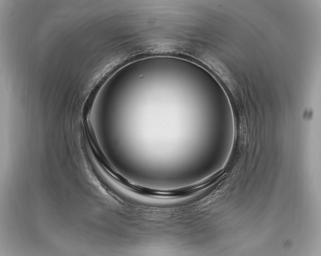 X0000094180485200710261135