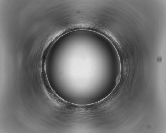 X0000094180486200710261135