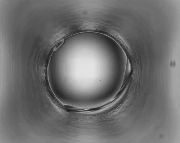 X0000094180489200710261135