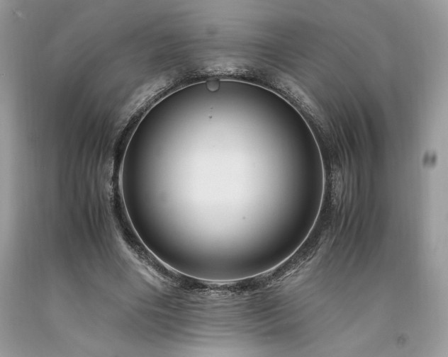X0000094180490200710261135