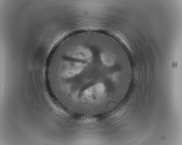 X0000094180491200710261135