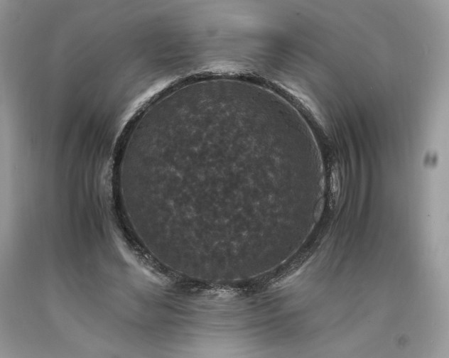 X0000094180492200710261135