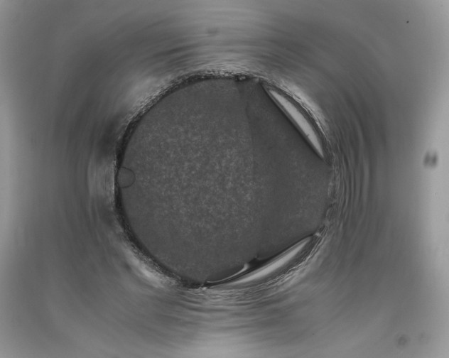 X0000094180493200710261134