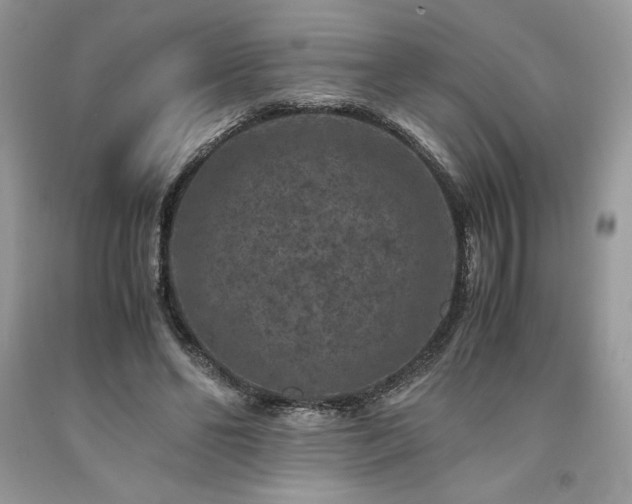 X0000094180494200710261134