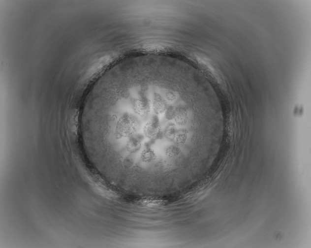 X0000094180495200710261134