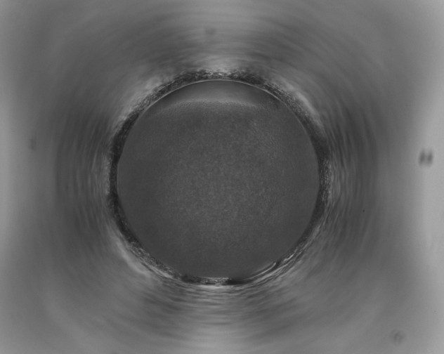 X0000094180496200710261134