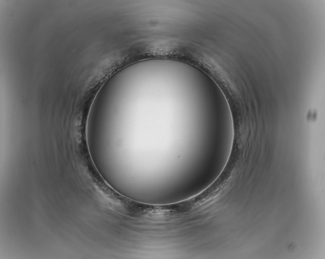 X0000094180497200710261134